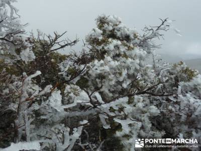 Senderismo Sierra Alto Rey;rutas fin de semana por españa;escapadas fin de semana